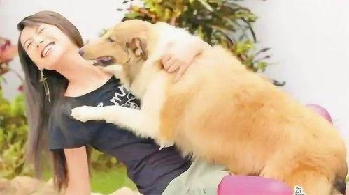 有谁和狗狗做的视频,有谁与狗狗共舞的温馨瞬间