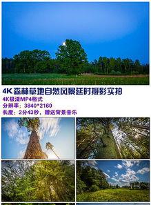 4k风景视频素材,沉浸式探索世界之美