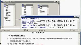 vfp视频,探索视觉艺术与技术的完美融合
